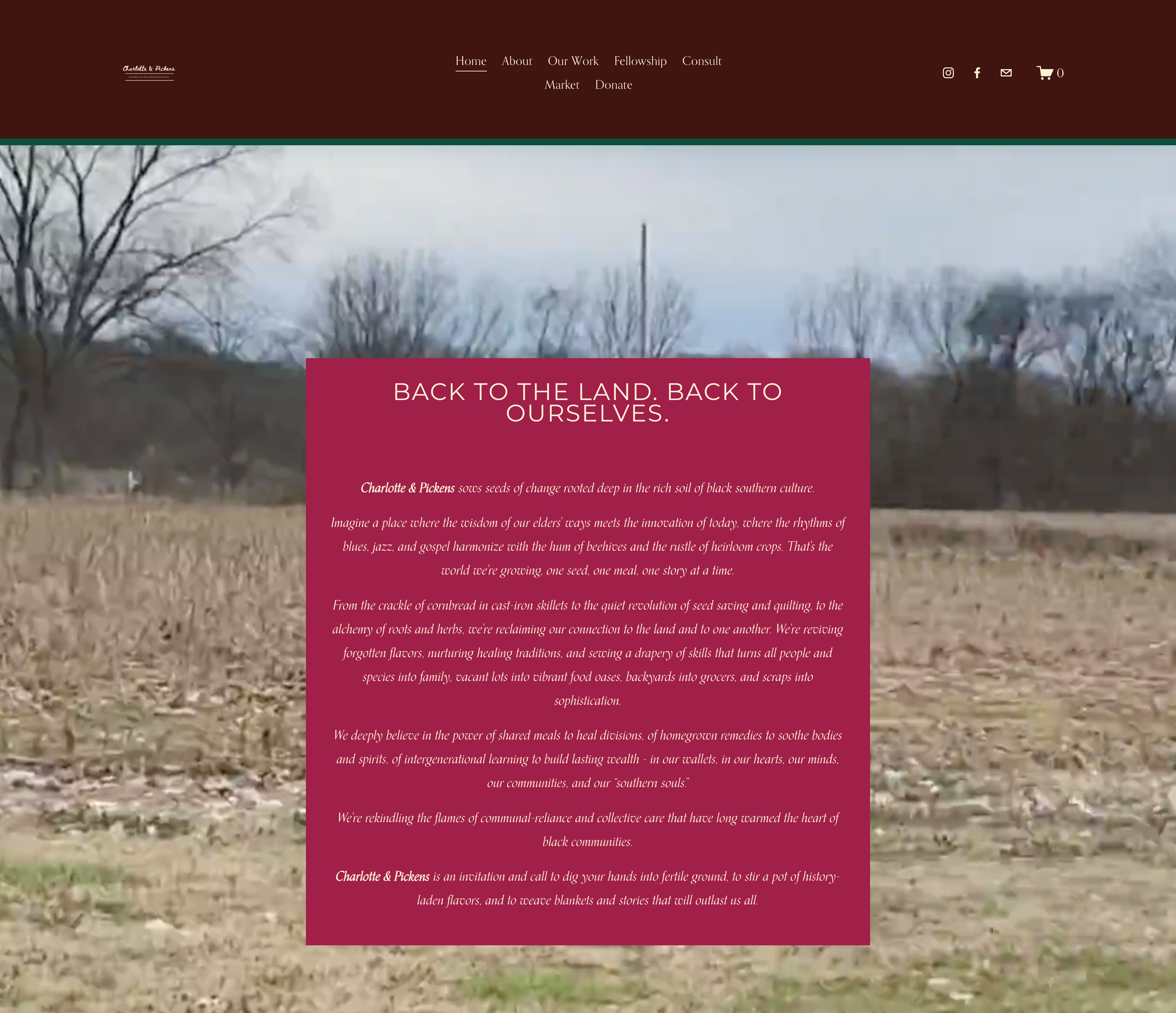 Charlotte & Pickens hero section before mockup